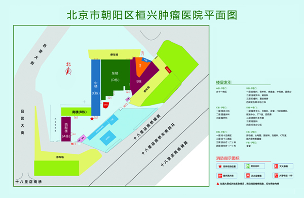 操老太太AV北京市朝阳区桓兴肿瘤医院平面图